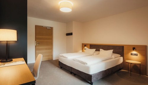 Comfort Room, 1 Double Bed with Sofa bed