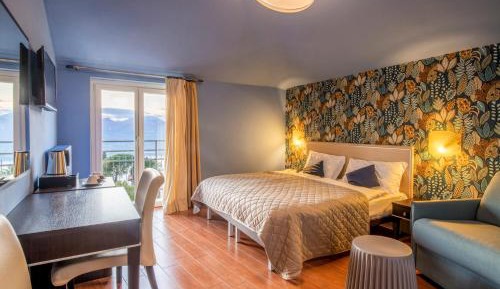 Deluxe Double or Twin Room with Lake View