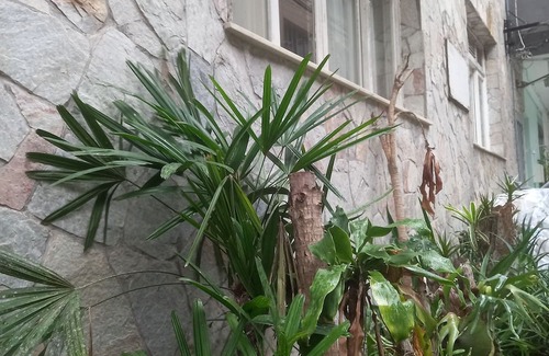 Leme House | Discover the charm of staying at Casa 11, in the heart of Leme/Copacabana!